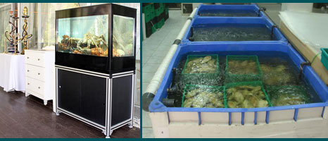 промышленный аквариум в ресторане и узв в служебном помещении